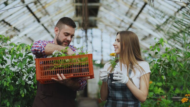 Gardening Projects That Keep You Moving Through Every Season